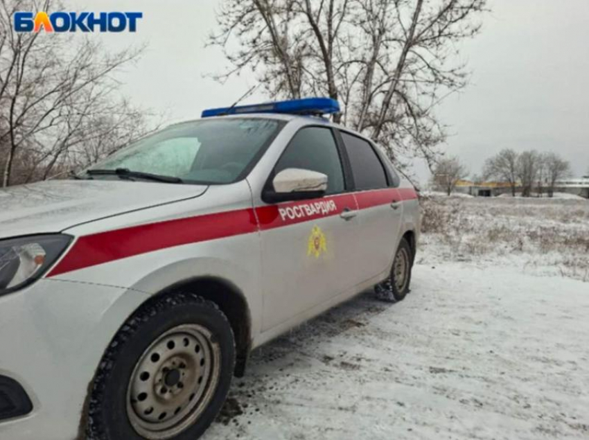 В Волжском двоих молодых людей задержали с краденым алкоголем: Росгвардия среагировала на ночной сигнал «тревоги»