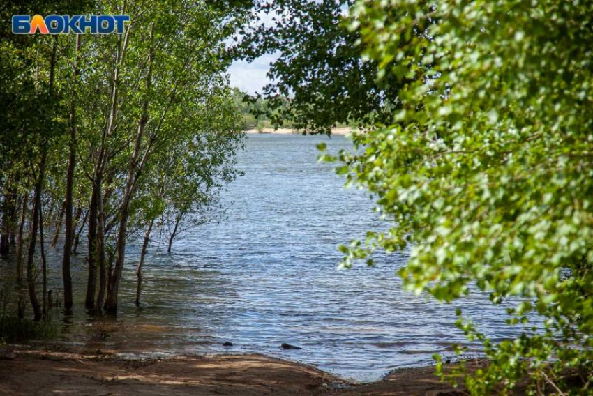 Едва не утонувших детей спасли на пляже в Волжском