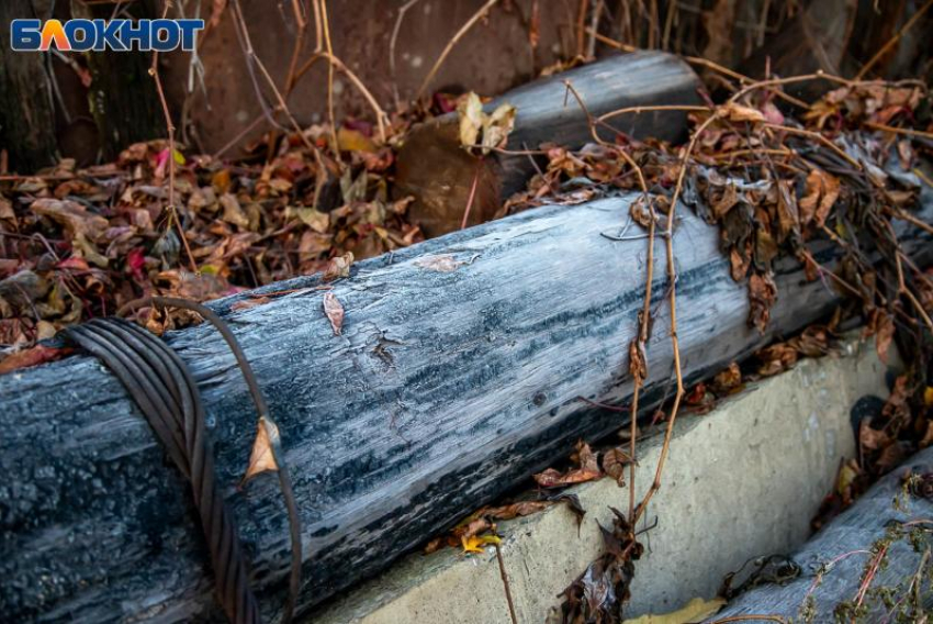 Несчастный случай на охоте в Волгоградской области: один мужчина погиб от случайного выстрела