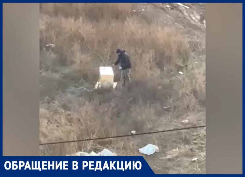 В Волжском животных выбрасывают на верную смерть: видео