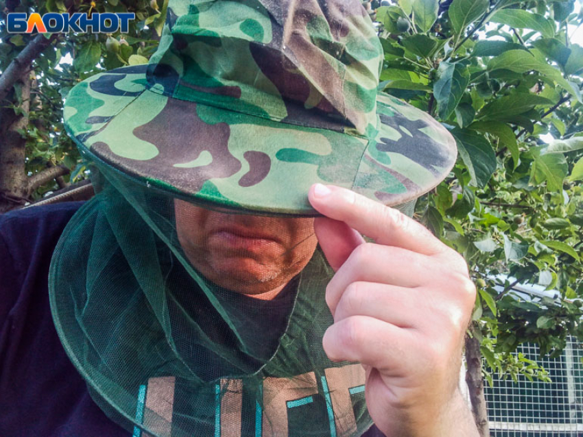 Массовое нашествие мошкары обещают в Волжском весной 2026