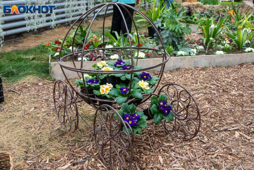 Весна приходит в Волжский: температура воздуха заметно растет