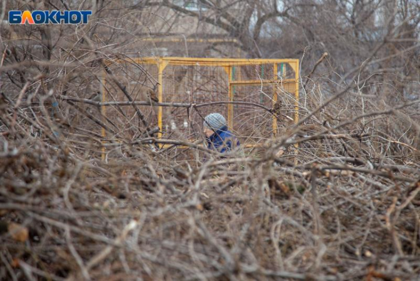 В Волжском сообщили о скорой уборке веток из дворов города