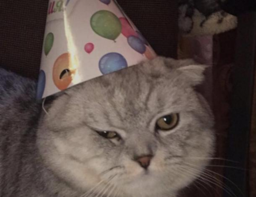 Топ-5 забавных объявлений, которые опубликовали волжане