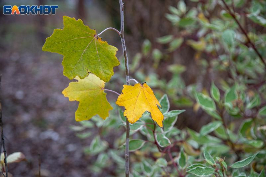 День Катерины Санницы: древние обычаи, погодные приметы и запреты