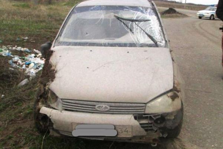 В Михайловке пьяная автоледи едва не угробила себя и подругу на трассе