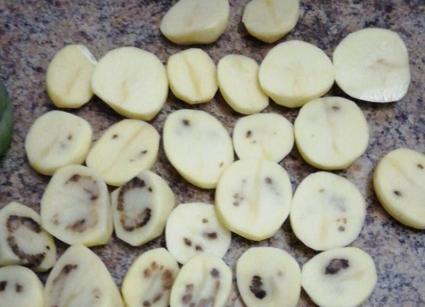 «Из 2 килограмм пригодны в пищу 4 картошки», - волжанка о некачественных продуктах