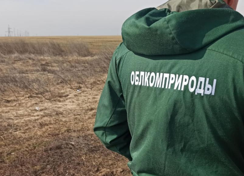 Штрафы на 1,2 миллиона: в Волгоградской области массово выявляют незаконный сброс отходов