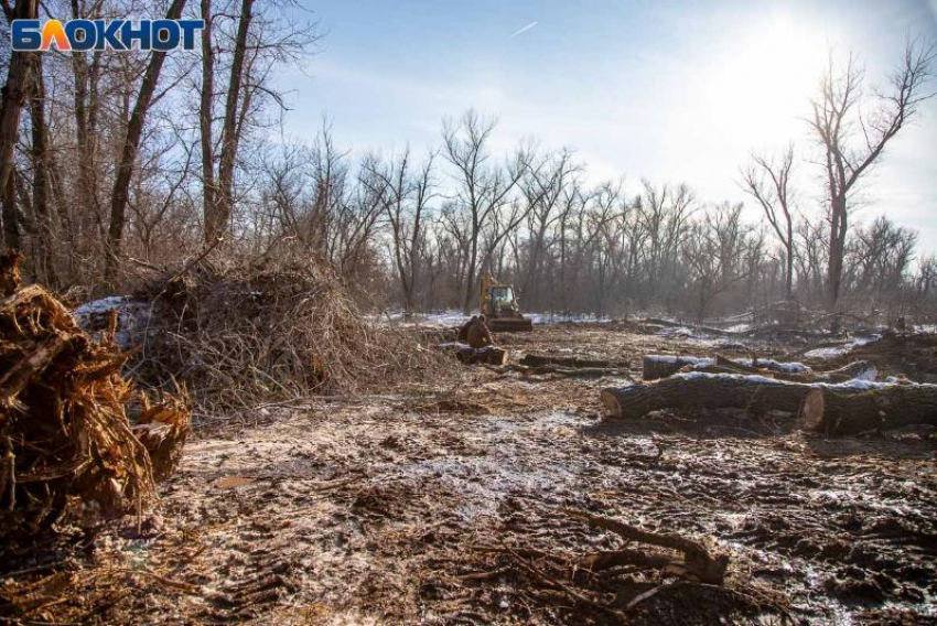 Депутаты незаконно прибрали к рукам земли в Киляковке