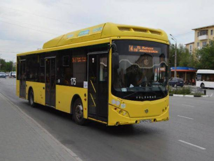 В Волжском общественный транспорт возобновил работу в обычном режиме