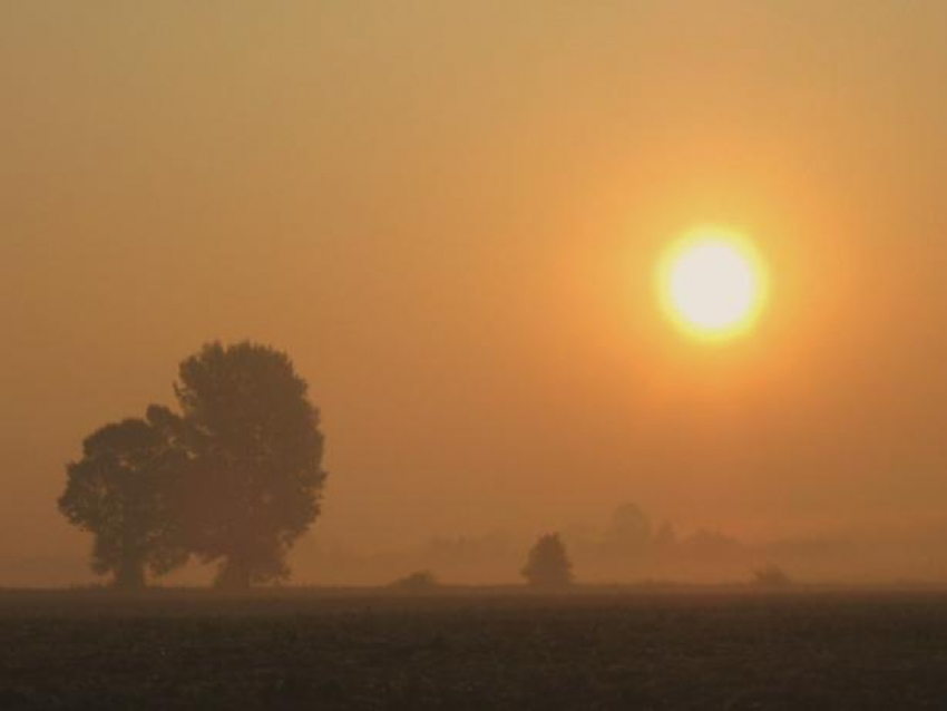 В День ювелира местами будет солнечно