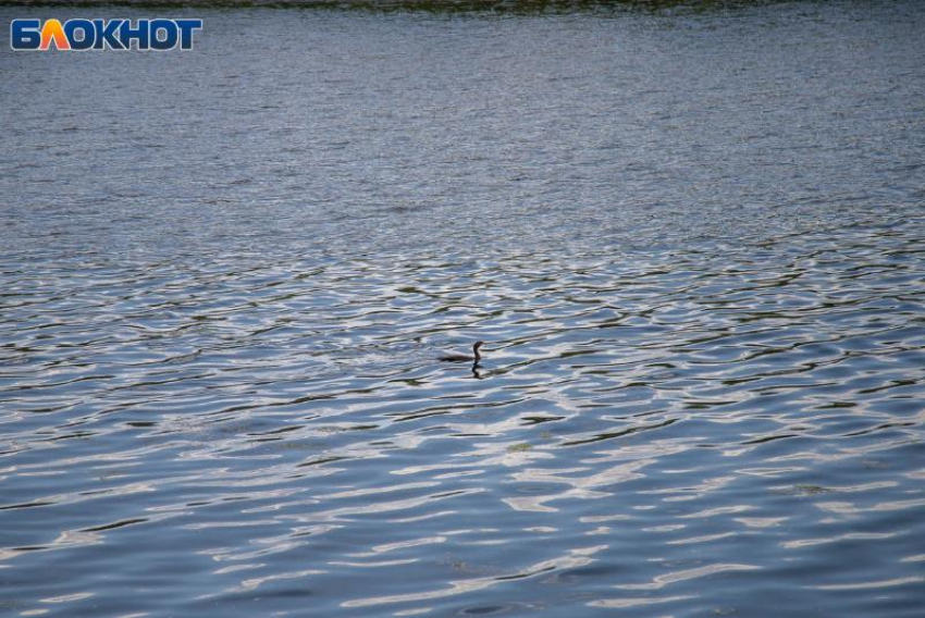 Утро вторника начнется с грозы: прогноз погоды в Волжском