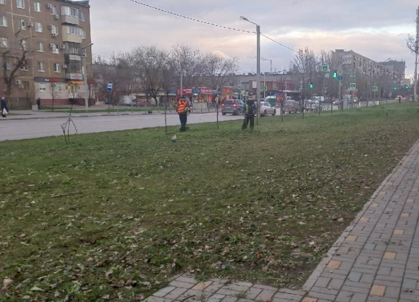 В Волжском начали косить траву перед снегом