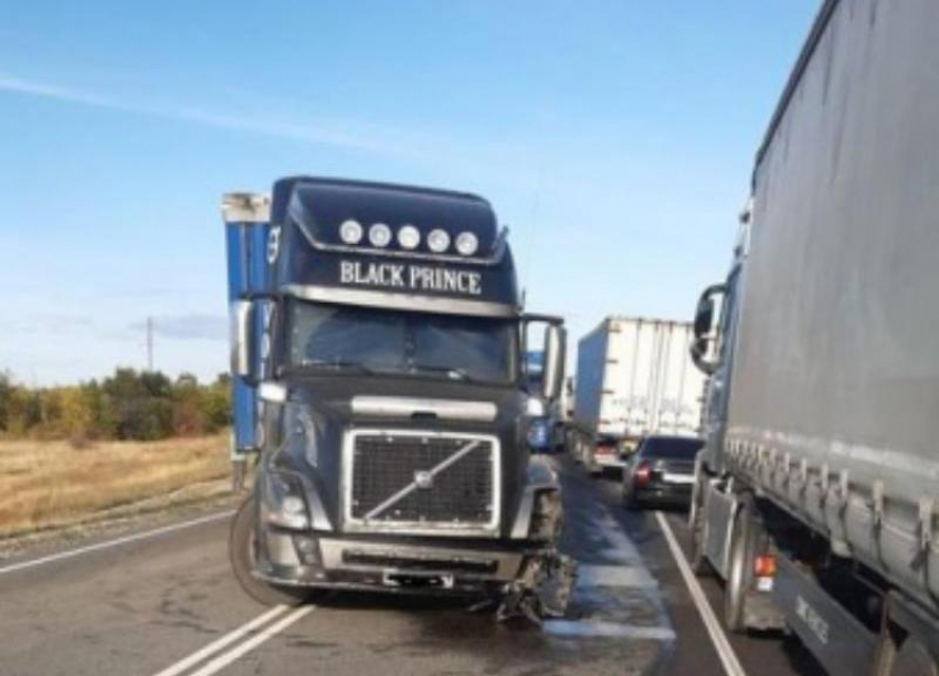 В Волгоградской области произошло массовое ДТП с участием 4 грузовиков: есть раненые