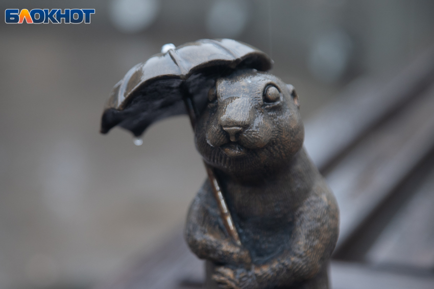 Собакам запретили лаять, а людям — ругаться: новые законы, которые можно нарушить в собственной квартире, действуют в Волжском