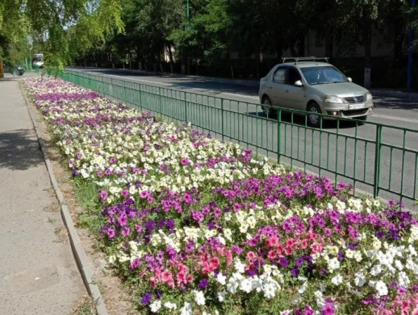 В Волжском радиационная обстановка удовлетворительная