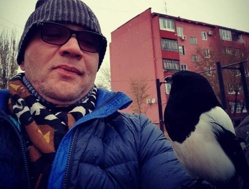 Гостя из Дубая поразила ручная сорока в Волжском