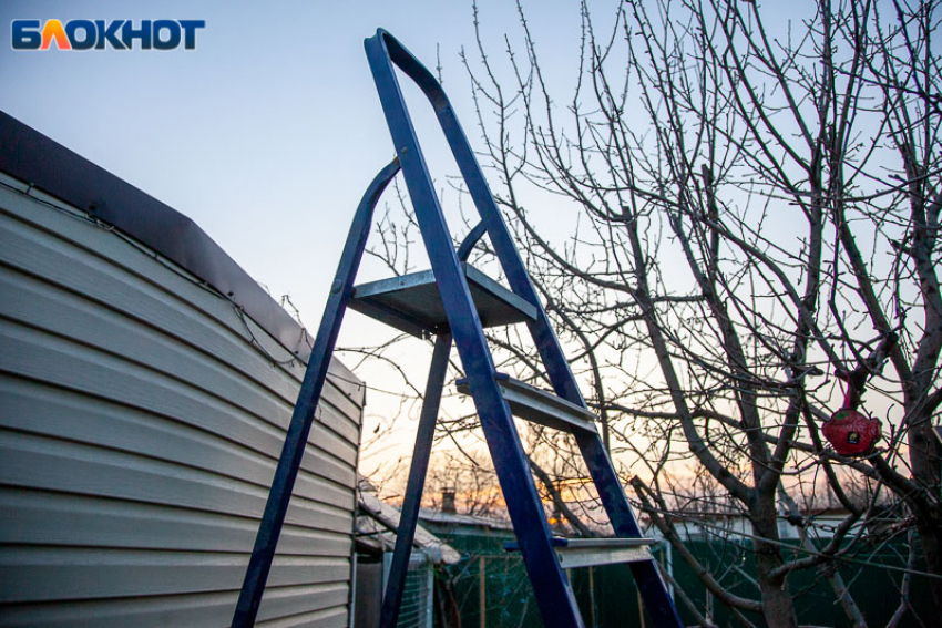 Когда сойдет снег: шпаргалка для волжских дачников со списком работ на март