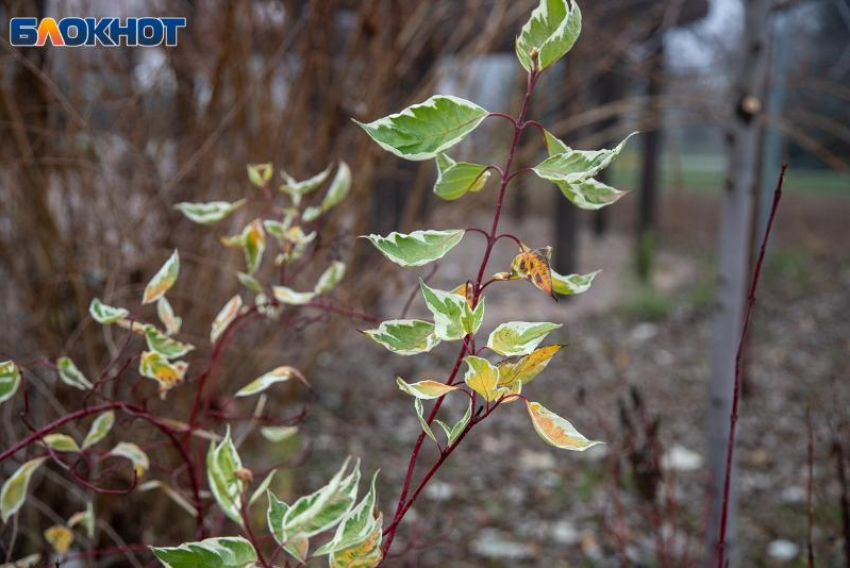 Анна Темная: какие запреты нельзя нарушать и что сулит день