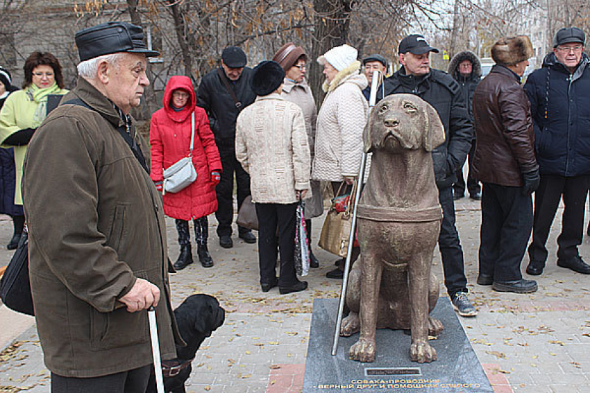 Памятник собаке-поводырю появился в Волжском