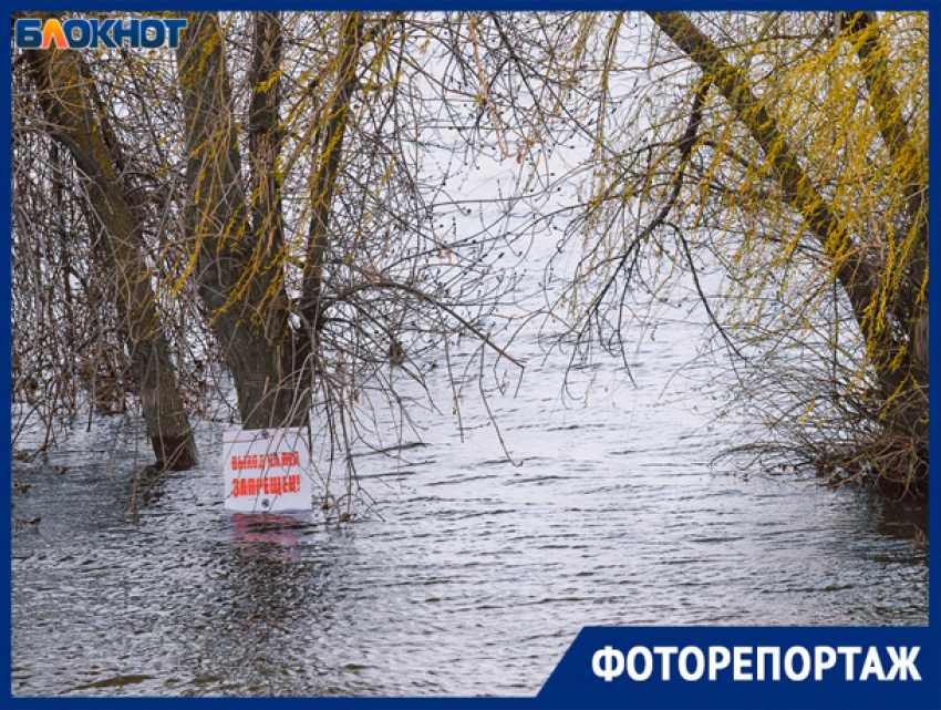 Красоту природы беспощадно уродует человеческая халатность