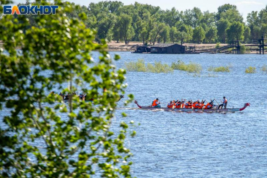 Не рассказывать сны в воскресенье:советует волжанам травница