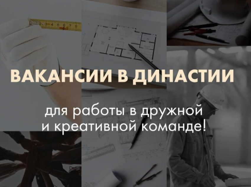 «Династия» ищет ответственных специалистов!