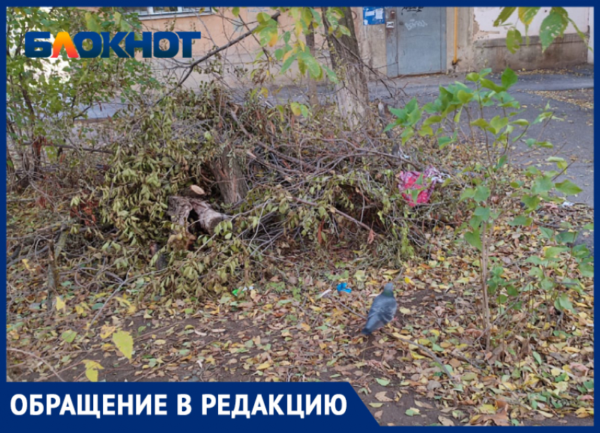 «Во дворе свалка, из подвала вонь, отопления нет»: волжане жалуются на УК «Лада-Дом»