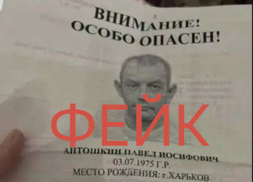 Волгоградская область охвачена слухами о «мифическом убийце»: МВД опровергает информацию