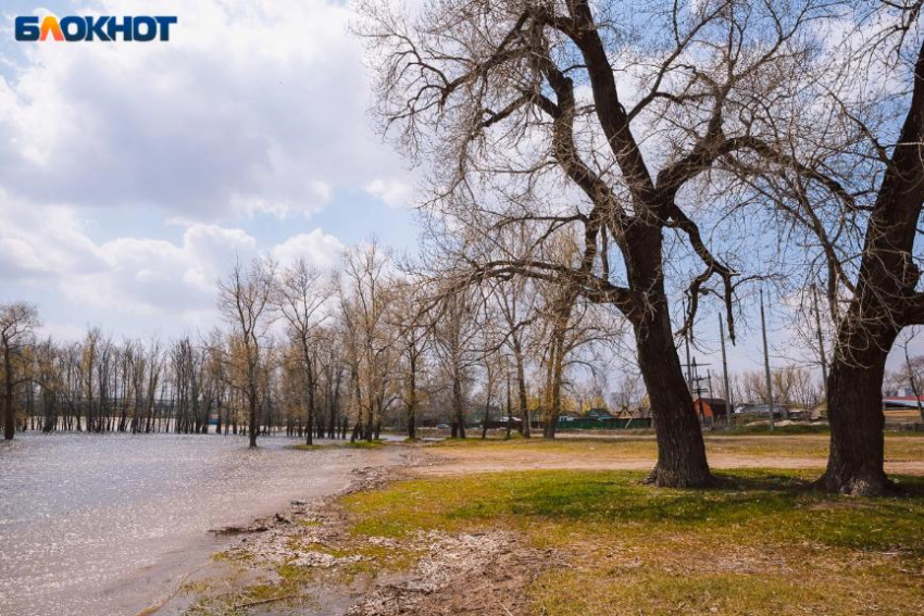 Воскресенье пройдет тепло и солнечно