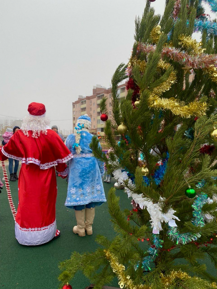 Новогодние елки в ЖК «Династия»