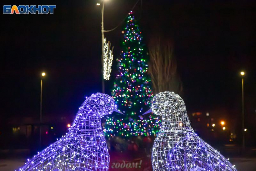 Молодежная елка в Волжском: теплый вечер, общение и рождественское настроение