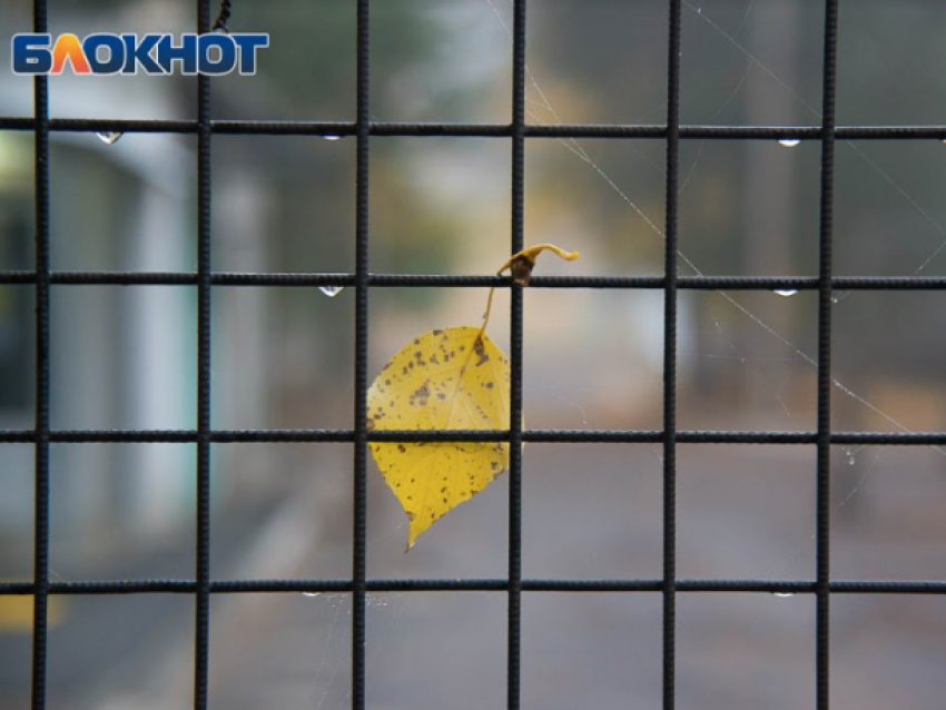 В Волгоградской области закроют исправительную колонию № 24 в Камышине