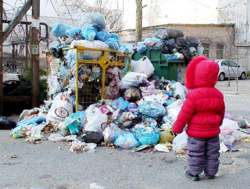 Прокуратура Волгоградской области взялась за вывоз мусора