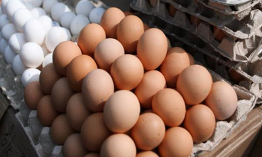 В Волжском продают самые дешевые яйца