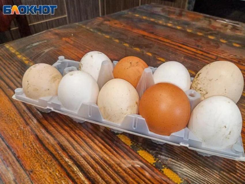 Яйцо «залежалось»: в Волгоградской области выявили нарушение при оформлении документов на куриные яйца