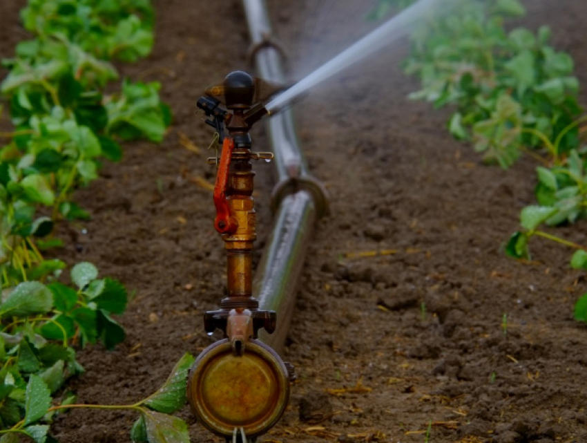 Злоумышленники выкопали более 1 км трубопровода почти на 2 млн рублей