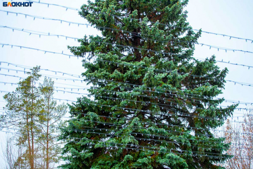 В Волжском будет пасмурно в понедельник: погода 