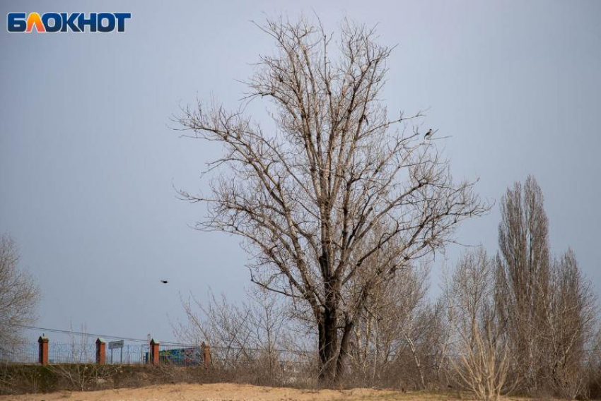 В Волжском похолодает до +9 градусов