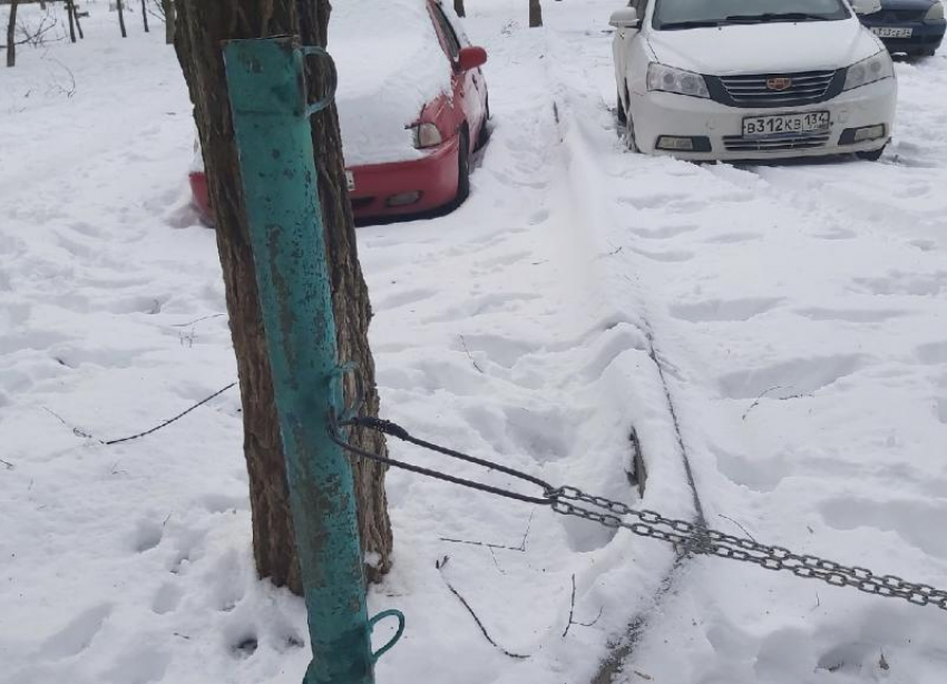 Большинство волжан уверены в незаконности новой парковки, созданной руками местной жительницы