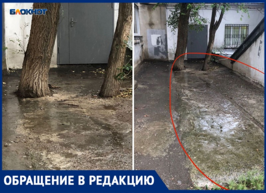  В Волжском забетонировали деревья: жители жалуются на УК «Инвест»
