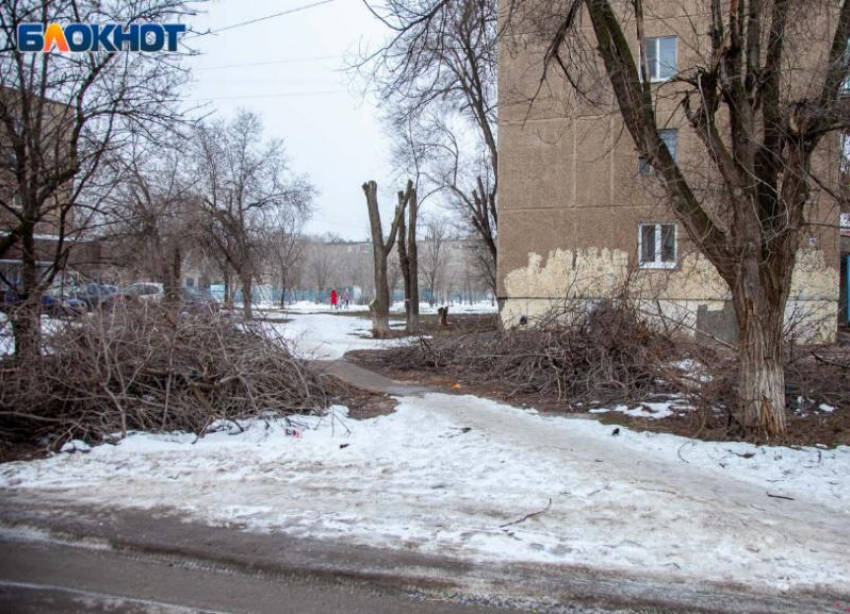 Сильный ветер и каток в Волжском: синоптики озвучили прогноз погоды на воскресенье