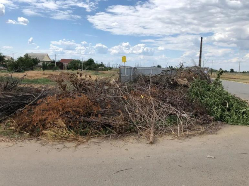 В Волжском проверят все мусорки и уберут свалки