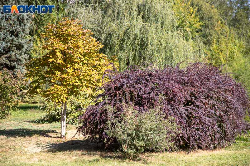 Синичкин день: народные приметы, традиции и запреты