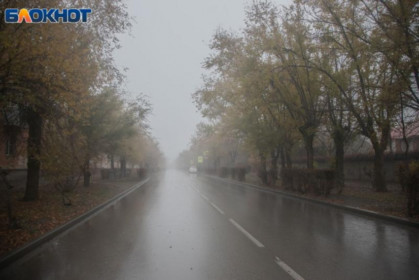 Ночной дождь обещают в Волжском: прогноз