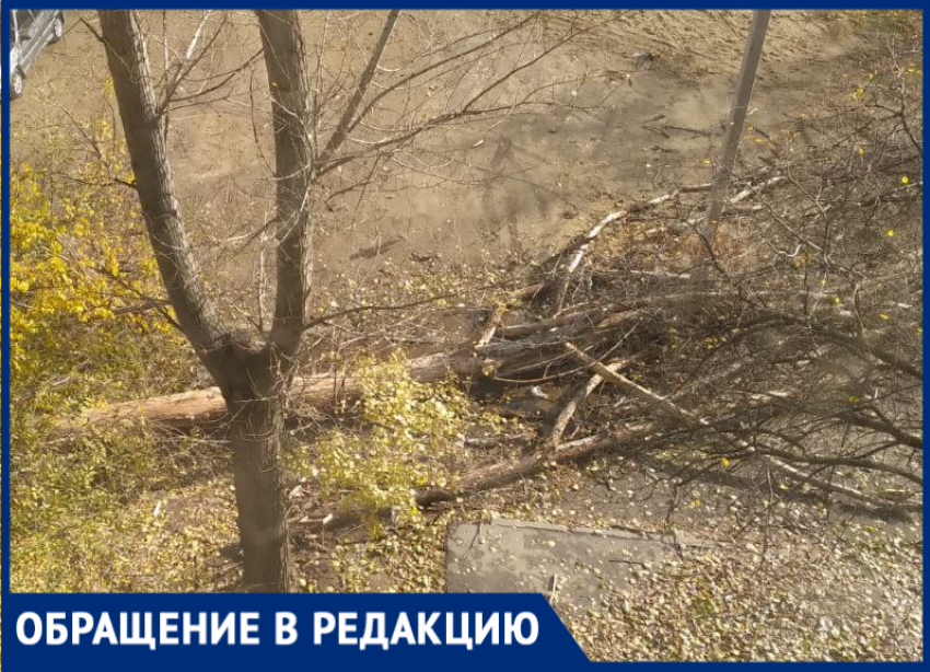 В Волжском до сих пор разбираются с последствиями урагана