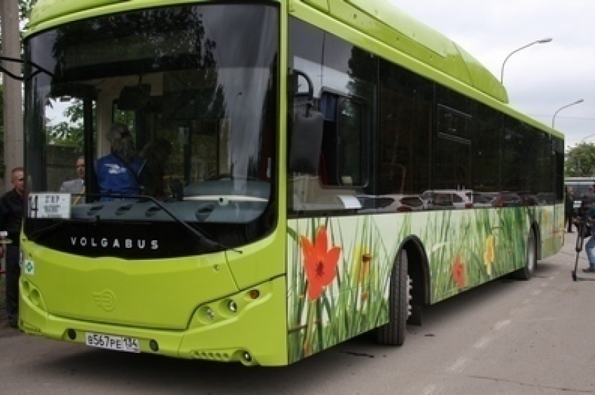 В Волжском начали работать новые газомоторные автобусы