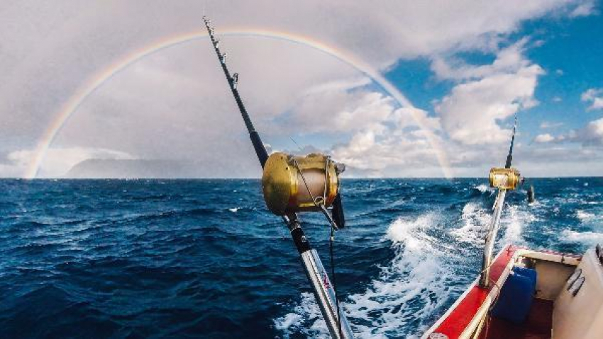 18 рыбаков поборются за главные призы в конкурсе «Клёвый улов» на сайте «Блокнот Волжского"