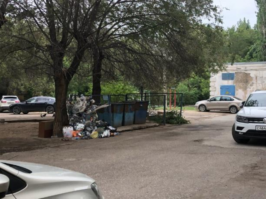 Сотрудники мэрии складируют мусор на заднем дворе в Волжском