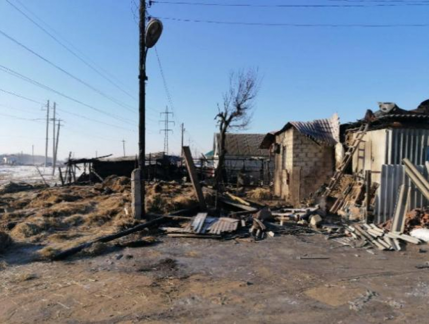 Сгорели дом и скотина: многодетная семья осталась зимой без крыши над головой 